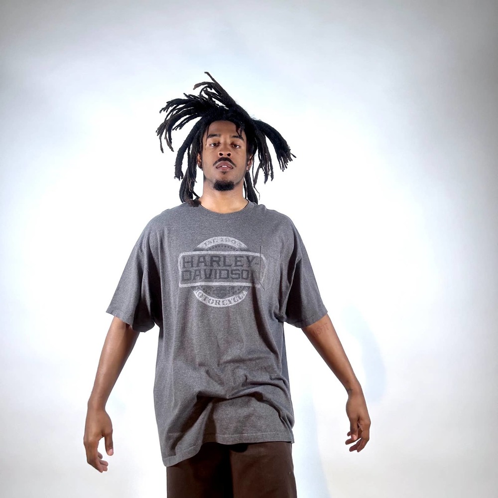 Harley Davidson tee y2k